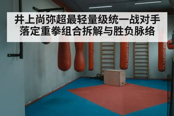 井上尚弥超最轻量级统一战对手落定重拳组合拆解与胜负脉络 | www.hth.com