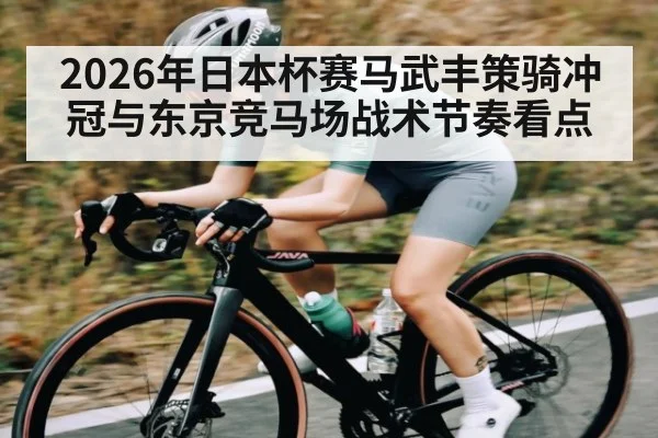 2026年日本杯赛马武丰策骑冲冠与东京竞马场战术节奏看点 - www.hth.com